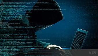 超级黑客爆料视频大全最新,视频大全深度解析 第2张 超级黑客爆料视频大全最新,视频大全深度解析 第2张