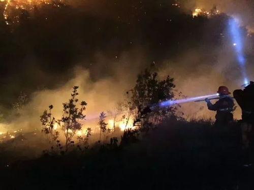 救火视频热点爆料,揭秘救火英雄的惊心动魄瞬间 第3张 救火视频热点爆料,揭秘救火英雄的惊心动魄瞬间 第3张